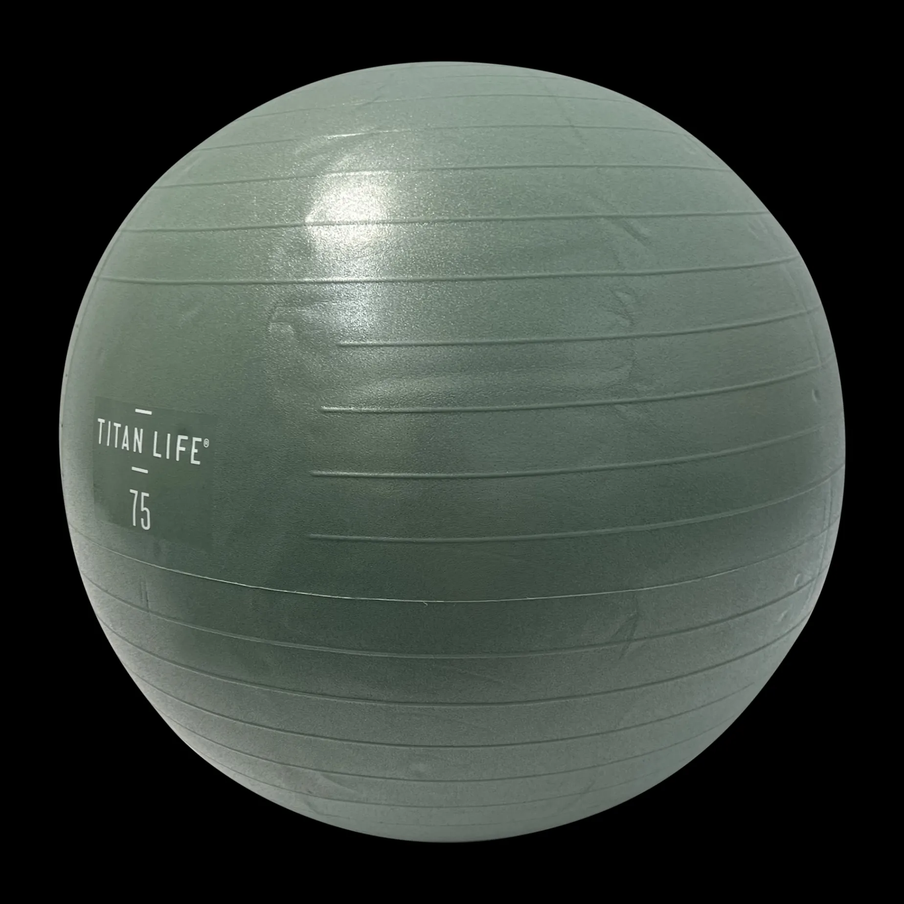 Titan Life - Fitnessball 75 Cm, Fitnessboll