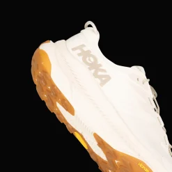 Transport, Hybrid Fritidssko Dam