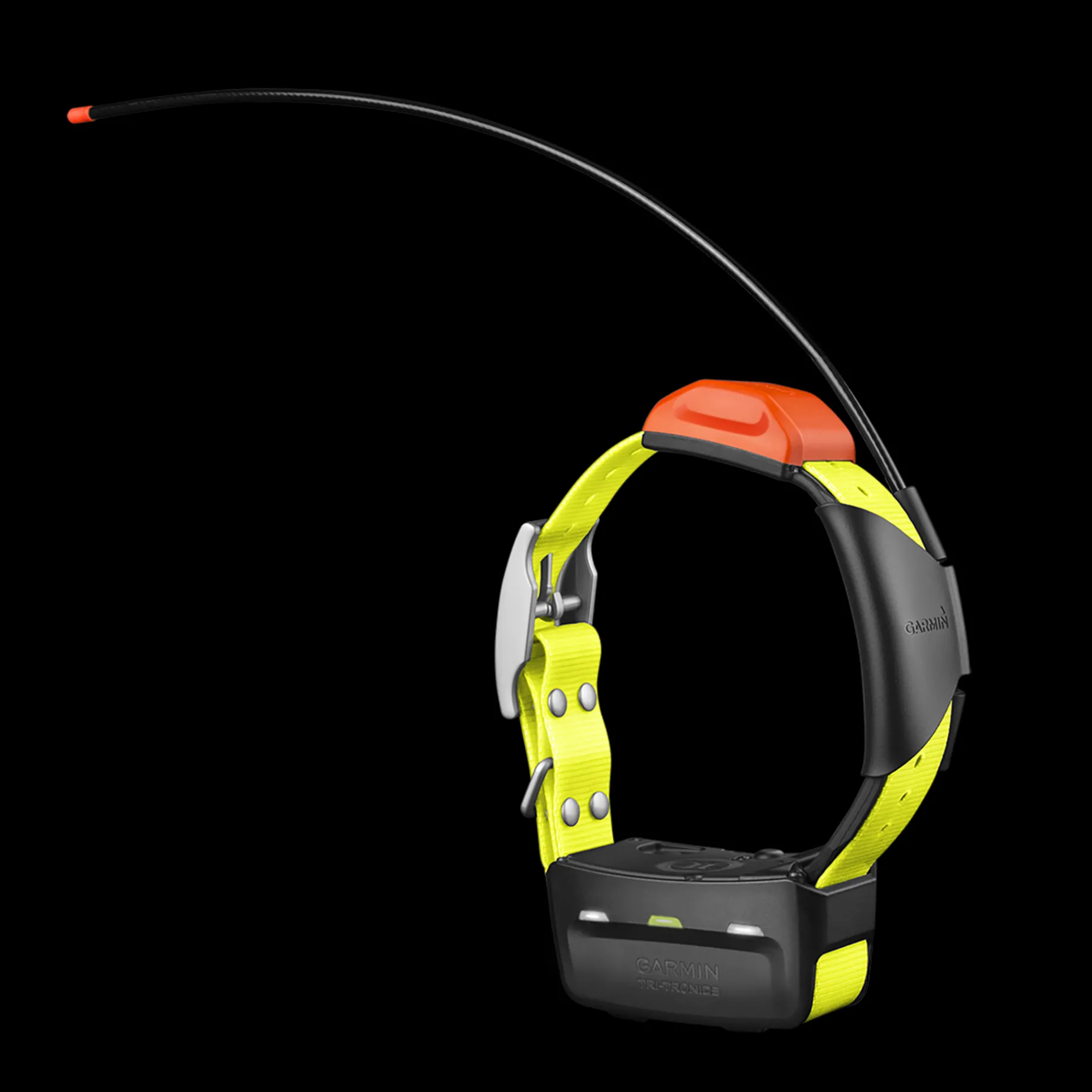 T5X Gps Collar, Nordic, Gps-Halsband