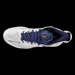 Wave Mirage 5, Handbollsskor, Herr