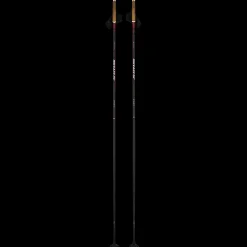 Xc Poles Dynamic D1 23/24, Stav For Langdskidakning Unisex
