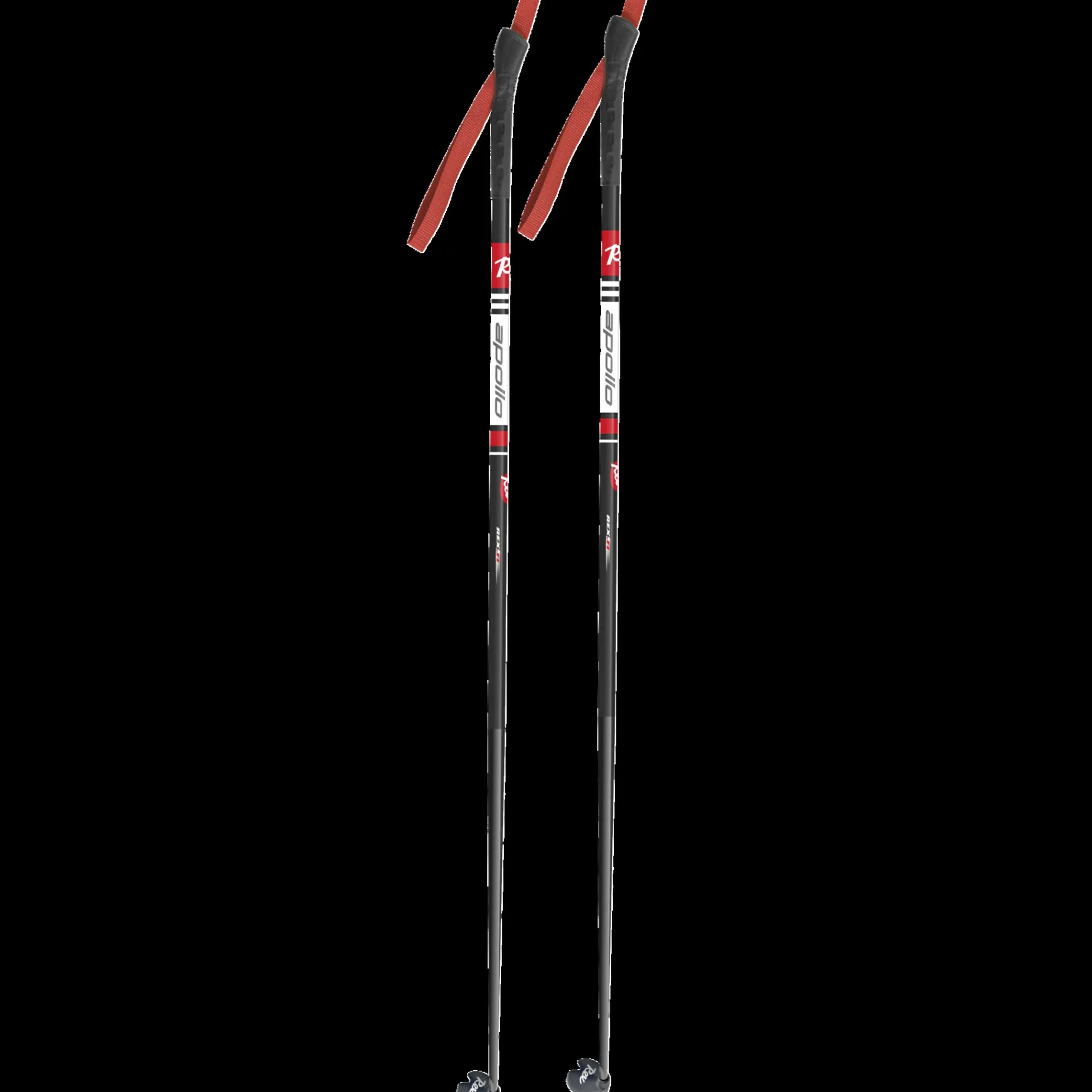 Xc Poles Rex Apollo Sauva Jr, Langdstav Barn